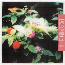 Amulets - Blooming - Flenser Amulets - Blooming - Flenser
