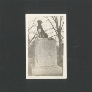 Harry James - Buy The Numbers - Potions Music NYC Harry James - Buy The Numbers - Potions Music NYC