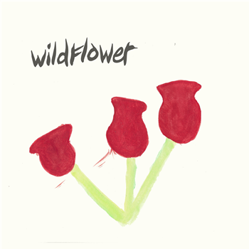 WILDFLOWER - BETTER TIMES - TROPIC OF LOVE