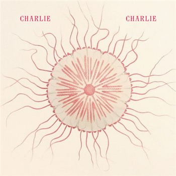 Charlie Charlie - International Feel