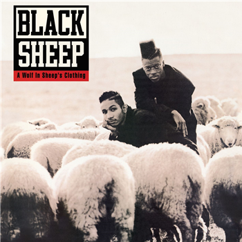 Black Sheep  - A Wolf In Sheeps Clothing - Get On Down