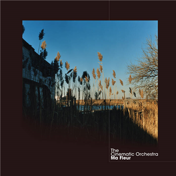 The Cinematic Orchestra - Ma Fleur (Clear coloured vinyl) - Ninja Tune