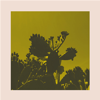 Bright & Findlay - Slow Dance - Athens Of The North Bright & Findlay - Slow Dance - Athens Of The North