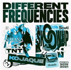 Various Artists - Different Frequencies Transparent Blue vinyl - Different Recordings