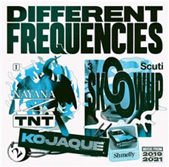 Various Artists - Different Frequencies Transparent Blue vinyl - Different Recordings Various Artists - Different Frequencies Transparent Blue vinyl - Different Recordings