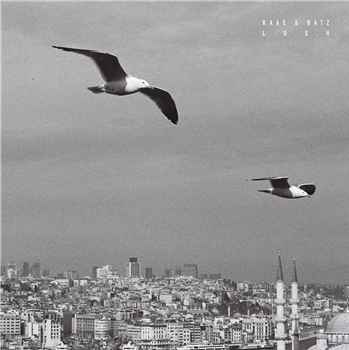 Kaae & Batz - Lush (Black Vinyl) - Stereo Royale Kaae & Batz - Lush (Black Vinyl) - Stereo Royale