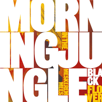 BLACK FLOWER - MORNING IN THE JUNGLE (FEAT. MESKEREM MEES) - SDBAN ULTRA
