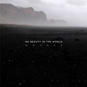 WOUNDS - No Beauty In The World (Transparent clear vinyl LP + download code) - Past Inside The Present