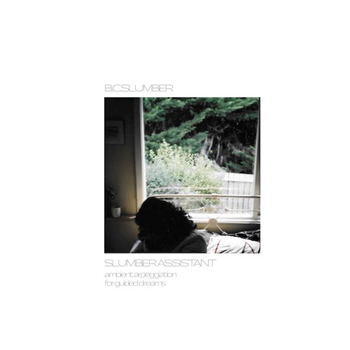 B. C. Slumber - Slumber Assistant - Southern Exposure Records B. C. Slumber - Slumber Assistant - Southern Exposure Records
