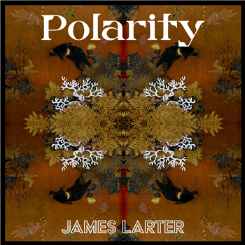 James Larter - Polarity - Next Door Records James Larter - Polarity - Next Door Records