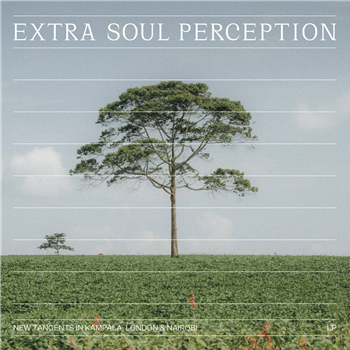 Various Artists - New Tangents In Kampala, London & Nairobi (2 X LP) - Extra Soul Perception