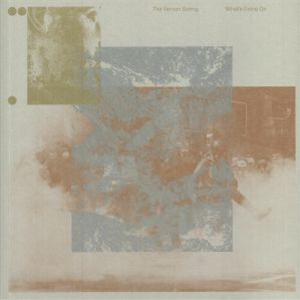 The Vernon Spring - What’s Going On (Clear Vinyl) - Lima Limo The Vernon Spring - What’s Going On (Clear Vinyl) - Lima Limo