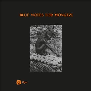 Blue Notes – Blue Notes For Mongezi (2 X LP) - OTORoku