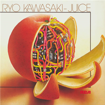 RYO KAWASAKI - JUICE - Mr Bongo