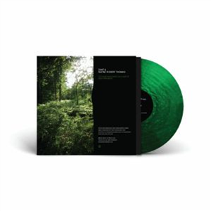 ZAKE/WAYNE ROBERT THOMAS - To Those Who Dwelt In A Land Of Deep Darkness (metallic green vinyl LP + MP3 download code) - Past Inside The Present