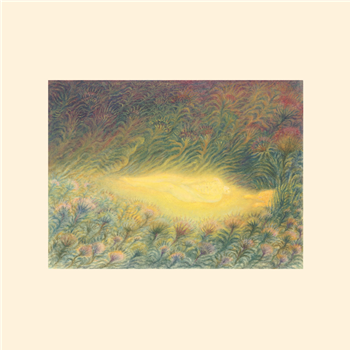 Sofie Birch & Antonina Nowacka - Languoria (Dark Green Vinyl) - MONDOJ Sofie Birch & Antonina Nowacka - Languoria (Dark Green Vinyl) - MONDOJ
