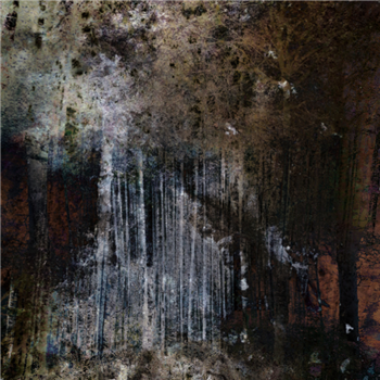 Joachim Spieth - Terrain (2 X LP) - Affin LTD Joachim Spieth - Terrain (2 X LP) - Affin LTD