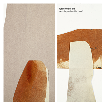 Kjetil Mulelid Trio - Who Do You Love The Most? - Rune Grammofon