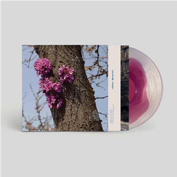 Duval Timothy - Meeting With A Judas Tree (180g Transparent purple in clear vinyl) - Carrying Colour