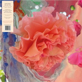 Conic Rose - Heller Tag - Conic Rose