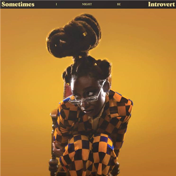 LITTLE SIMZ - SOMETIMES I MIGHT BE INTROVERT (Gatefold 2 X Milky Clear LP) - AGE101 RECORDS via AWAL