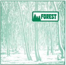 Forest - Forest (2 X 12") - BBE Music