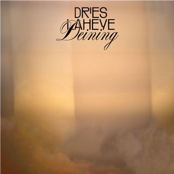 DRIES LAHEYE - DEINING - DE W.E.R.F.