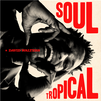 David Walters - Soul Tropical (2 X LP) - Heavenly Sweetness