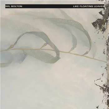Wil Bolton - Like Floating Leaves (Clear Vinyl) - LAAPS