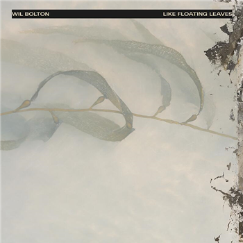 Wil Bolton - Like Floating Leaves (Clear Vinyl) - LAAPS Wil Bolton - Like Floating Leaves (Clear Vinyl) - LAAPS