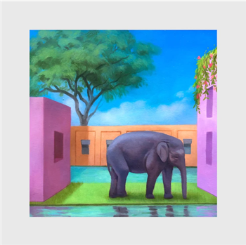 Korea Town Acid - Elephant In The Room - URBNET Korea Town Acid - Elephant In The Room - URBNET
