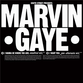 Marvin Gaye  - SOUTH STREET