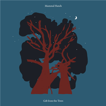 Mammal Hands - Gift from the Trees (2 X Clear Vinyl) - Gondwana Records