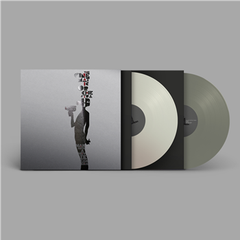 The Cinematic Orchestra - Man With A Movie Camera (2 X ashen and pewter grey 140g vinyl) - Ninja Tune