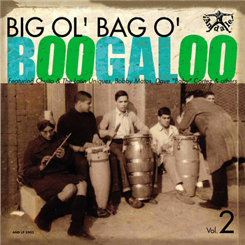 Various Artists - Big Ol Bag of Boogaloo Vol. 2 - Tuff City