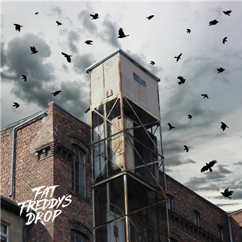 Fat Freddys Drop - Blackbird Returns - 2LP - THE DROP