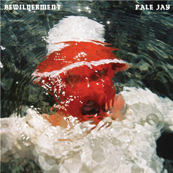 Pale Jay – Bewilderment (Opaque Red Vinyl - Karma Chief Records/Colemine Records