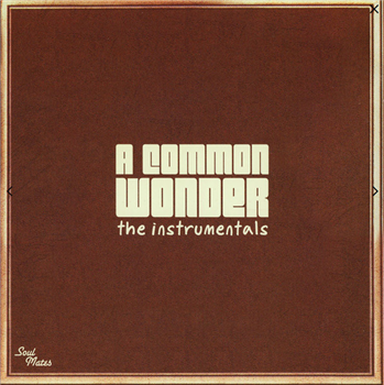 Common vs Stevie Wonder/COMMON WONDER INSTRUMENTALS - 2x12" - COMMON WONDER