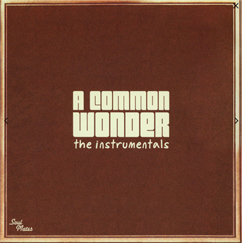 Common vs Stevie Wonder/COMMON WONDER INSTRUMENTALS - 2x12" - COMMON WONDER Common vs Stevie Wonder/COMMON WONDER INSTRUMENTALS - 2x12" - COMMON WONDER