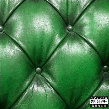 SonnyJim x Camoflauge Monk  - Money Green Leather Sofa  - Tuff Kong Records 