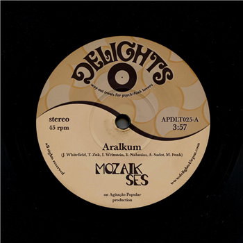 Mozaik Ses - Delights 45