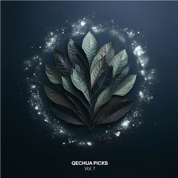Various Artists - Qechua Picks Vol 1 - Rauversion