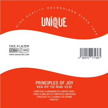 Principles Of Joy - Unique