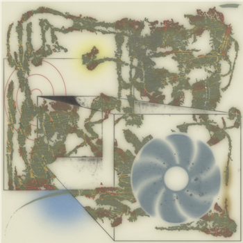 Milosz Kedra - their internal diapasons - LP - Pointless Geometry