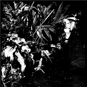 Jef Mertens - Orchid Alto - Aguirre Records