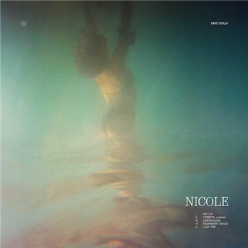 Nino Gvilia - Nicole / Overwhelmed By The Unexplained - Hive Mind