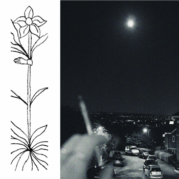 Jabu - A Soft and Gatherable Star - Do You Have Peace?