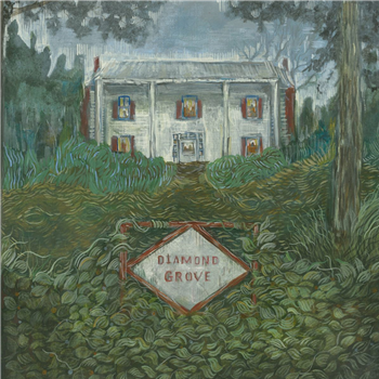 Weirs - Diamond Grove - DEAR LIFE RECORDS