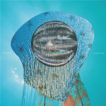 Ocean Moon & Silver Ley - Prismatic Fields - Open Universe