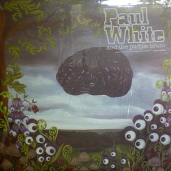 Paul White - Paul White And The Purple Brain 2 X LP - Now Again Records